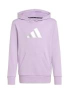 Jg Glam Hd Purple Adidas Sportswear