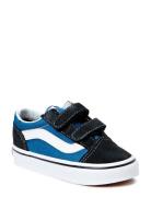 Old Skool V Blue VANS