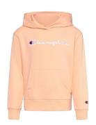 Hooded Sweatshirt Pink Champion