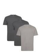 Dp 3 Pack T-Shirts Grey Denim Project