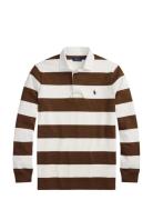 The Iconic Rugby Shirt Brown Polo Ralph Lauren