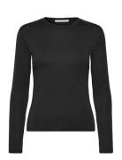 Millan Ls Black Tiger Of Sweden