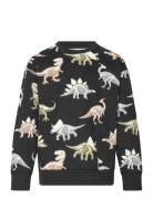 Sweater Dino Glow In The Dark Black Lindex