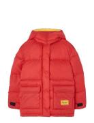 Lemur Kid Puffer Jacket Maroon Red THE ANIMALS OBSERVATORY