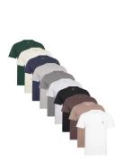 Icon 10-Pack Patterned Abercrombie & Fitch