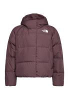 G North Down Hooded Jacket Burgundy The North Face