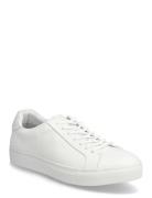 Lns 100 White TGA By Ahler