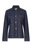 Stellafv Blue FIVEUNITS