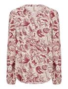 Sc-Bayan Burgundy Soyaconcept