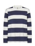 Sc-Barni Navy Soyaconcept