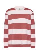 Sc-Barni Pink Soyaconcept