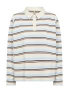 Sc-Base Patterned Soyaconcept