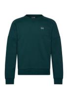 Sweatshirt Green EA7