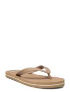 Orlando Flipflop Beige Lexington Clothing