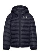 Down Jacket Navy EA7