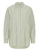 Ihfluca Sh2 Green ICHI