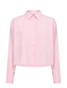 Sc-Netti Pink Soyaconcept