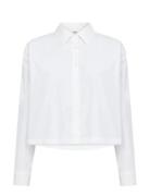 Sc-Netti White Soyaconcept