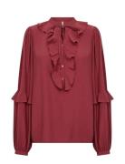 Sc-Barbel Burgundy Soyaconcept