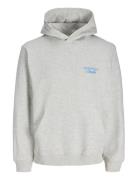 Jornorrebro Typo Back Sweat Hood Sn Grey Jack & J S