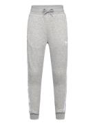 Trefoil Pants Grey Adidas Originals