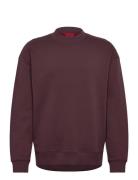Dapocrew Burgundy HUGO