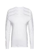 3Pk Basic Tee L/S White Lindbergh