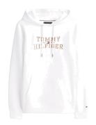 Icon Intechno Hoody White Tommy Hilfiger