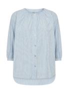 Sc-Cassy Blue Soyaconcept