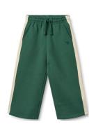 Sweatpants Day Green Wheat