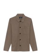 Maorignal Heritage Brown Matinique