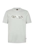 Te_Insignia Grey BOSS