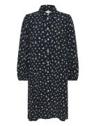 Eleinapw Dr Navy Part Two