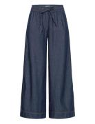 Iharcher Pa2 Blue ICHI