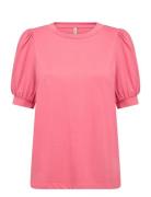 Sc-Derby Pink Soyaconcept