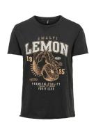 Onllucy Reg S/S Top Jrs Noos Beige ONLY