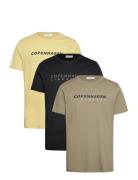 3 Pack Cph Tee S/S Patterned Lindbergh