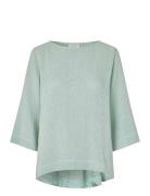 Madovinia Blue Masai