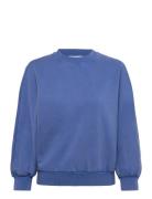 Msfiline Sweat Blue Minus