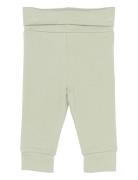 Tnsbphoenix Pants Green The New