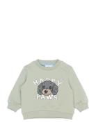 Tnsbsacarias Sweatshirt Green The New