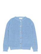 Tnsalvina Glitter Knit Cardigan Blue The New