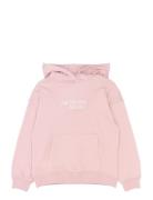 Tnsheridan Os Hoodie Pink The New