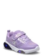 Wave Tri G Td Low Cut Shoe Purple Champion