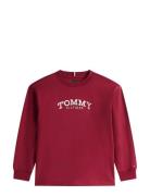 Monotype Print T-Shirt Ls Burgundy Tommy Hilfiger