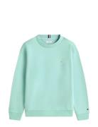 Mini Corp C-Neck Sweatshirt Green Tommy Hilfiger