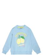 Vital Sweatshirt Blue TUMBLE 'N DRY
