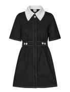 Anessa Black Baum Und Pferdgarten