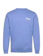 Sdtorrence Blue Solid