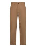 Sdtate Liam Brown Solid